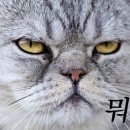 공감 - 남양주시 | 공감