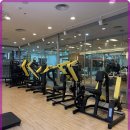 쏘마휘트니스 이미지