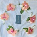 Wedding 18. 인터불고 인터빌리지, 르앤브라이드, 꽃을 보다(부케),올리브한복 본식 후기
