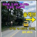 기흥초등학교(병설) 이미지