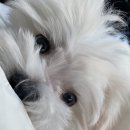 제이드메디칼 이미지