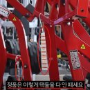 티엠짐 충북혁신도시점 해머스트렝스오피셜센터 이미지