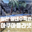 레드아쿠아 | 일산 아쿠아플라넷 아쿠아리움 실내수족관 가격 주차 후기