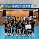 수정초등학교 이미지