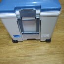 인터라인 이미지