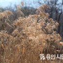 하늘바람숲협동조합