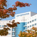 서울대학교병원