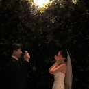 [부산 토탈] 어반스튜디오(럽이치아덜) 풀숲 배경