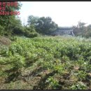 신해1리경로당 이미지