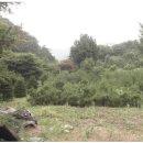 숲속의 계곡 이미지