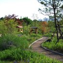 인천아시아드경기장 이미지