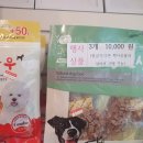 멍멍이냥 애견미용 이미지