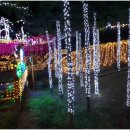 팔경마늘통닭 이미지