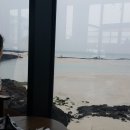 돌담에꽃머무는집