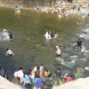 펜션화수목 이미지