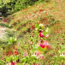 수리산역 이미지