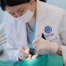 미소연치과의원 이미지