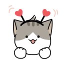 토브 동물병원 이미지