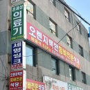 오렌지백반 이미지