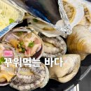 꾸워먹는바다 네이버블로그