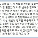 우드카빙 | 우드카빙 후기