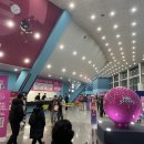 인천광역시 삼산월드체육관 회의실 | [페퍼저축은행] 인천삼산월드체육관 배구 직관 후기