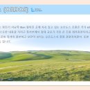 별빛여행사