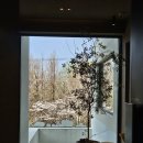 호계성당입구 | 울산 호계 카페 분위기 좋은 카페 드 솔