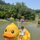 아기랑 가기 좋은카페 청주 포레시안 오리 배 타기 후기