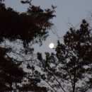 달구와 낭구 Daum카페
