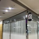 서현애견미용실 | [성남 서현 미용실] 리플헤어 서현점 볼륨매직 후기, 주차 편하고 차분한 분위기의 1인미용실