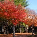 스포원파크 이미지