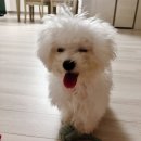 능이골 | 2025년 8월의 시작 : 윤여사하우스 주간 일기