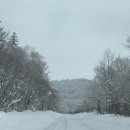 온천카 | 아사히카와 EP6. 렌트카로 “백은장 온천” 당일 방문한 내돈내산 솔직후기