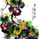 해금강테마박물관 이미지