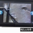 어버이날 선물 고민된다면? 부모님께 딱 좋은 제이포레 두피케어 후기