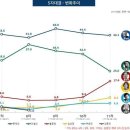 KOSI 여론조사 28~29일 이미지