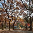 등촌근린공원 이미지