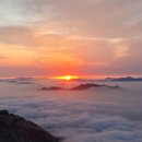 해돋이마트 - 아산시 번영로 190 | 해돋이마트