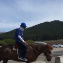 난산목장 이미지