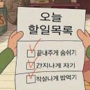 어썸 게스트하우스 이미지
