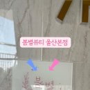 봄별 이미지