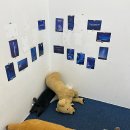 청두곶8길 28 | 사당역 증명사진 전문 업체 좋아요 추천 List 6곳