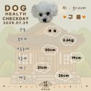 화명동 애견미용 강아지 유치원 하이그룸 이미지