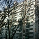 월곡동13 이미지