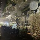 제니스파크요양병원 | 홀 상담 예약 I 강서구 더뉴컨벤션 I 26년 하반기 상담후기 I 계약X I 제니스홀 I 플래너 없이 웨딩홀 예약