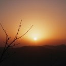 인삼약초로 이미지