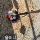 (주) 씨제이마스터골프 | ⛳️ [팔용동 6기] 열정 폭발! 웃음꽃 피는 파크골프 실기교육 현장