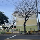 민마취통증의학과의원 이미지