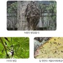 회화주택 티스토리